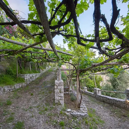 Cannaverde - Amalfi Coast Camp Hotel *